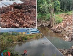 Warga Menemukan Limbah Pabrik Kelapa Sawit PT. Julong Mengalir ke Sungai Tertung Yang Bermuara ke Sungai Melawi.